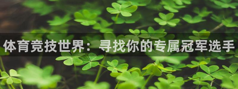 意昂3平台