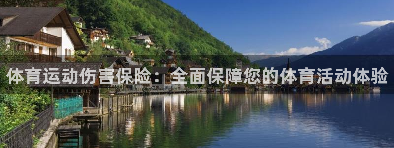成都沐鸣2电子有限公司