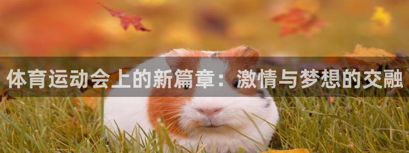 意昂体育注册