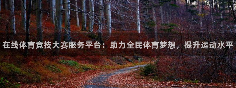 上海沐鸣2汽车电子有限公司
