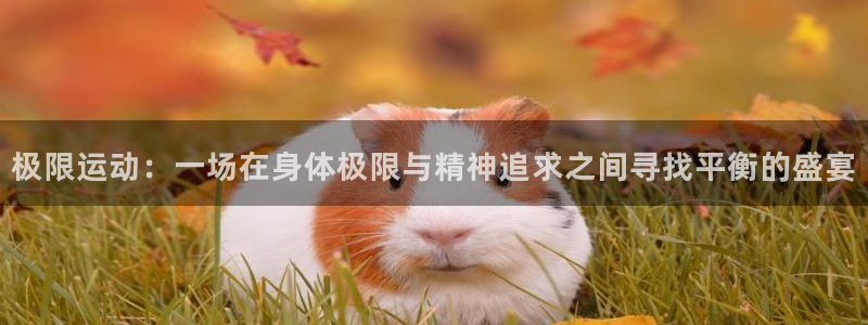 沐鸣2平台注册入口