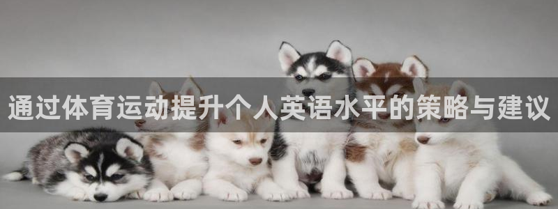 沐鸣2f凯捷平台在线注册