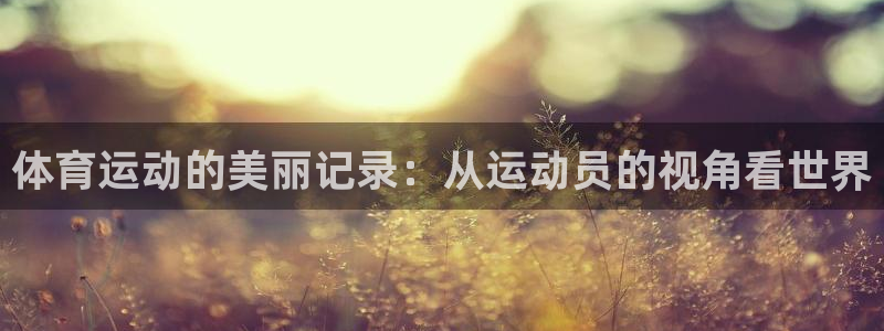 沐鸣2体育官网