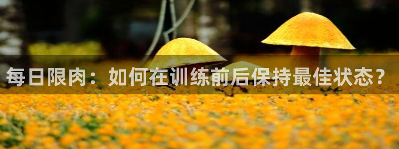 沐鸣2体育网页版入口