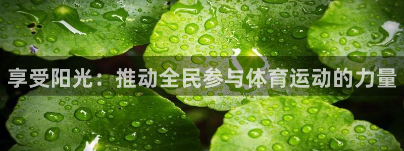 沐鸣2体育4