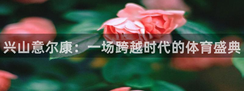 沐鸣2官网注册