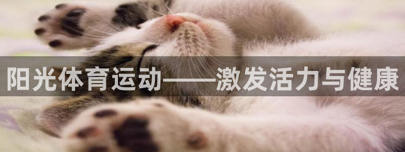 www.沐鸣2体育.com