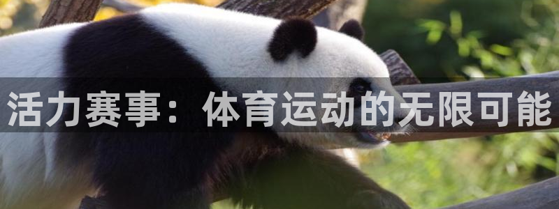 意昂平台招商