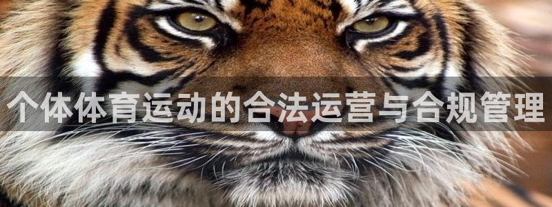 沐鸣2体育免费注册入口